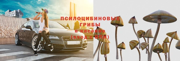 мяу мяу мука Абинск