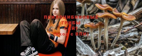 ешки Абаза